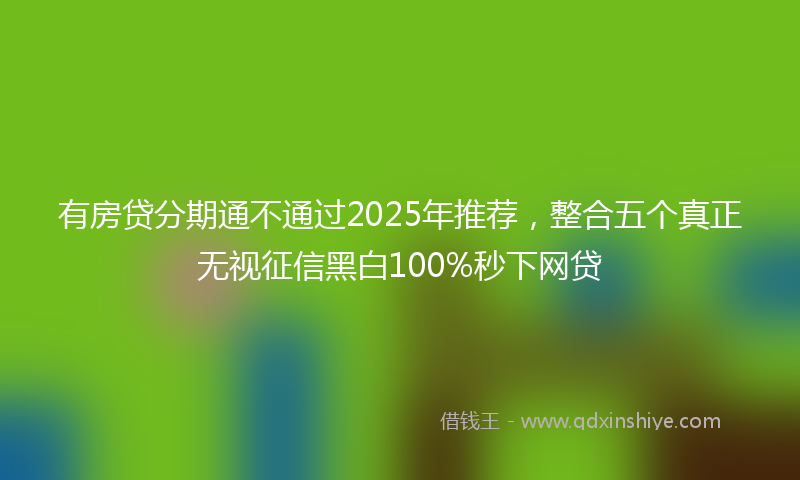 有房贷分期通不通过2025年推荐，整合五个真正无视征信黑白100%秒下网贷