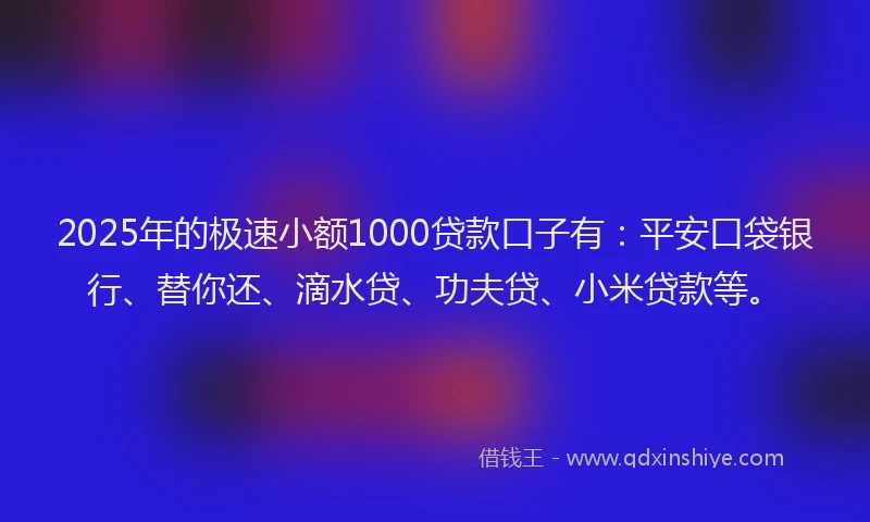 2025年的极速小额1000贷款口子有：平安口袋银行、替你还、滴水贷、功夫贷、小米贷款等。
