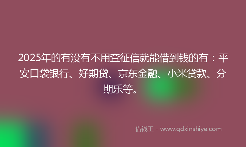 2025年的有没有不用查征信就能借到钱的有：平安口袋银行、好期贷、京东金融、小米贷款、分期乐等。