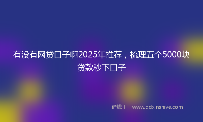 有没有网贷口子啊2025年推荐，梳理五个5000块贷款秒下口子
