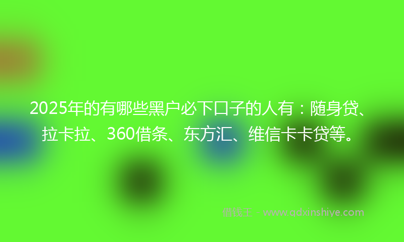 2025年的有哪些黑户必下口子的人有：随身贷、拉卡拉、360借条、东方汇、维信卡卡贷等。