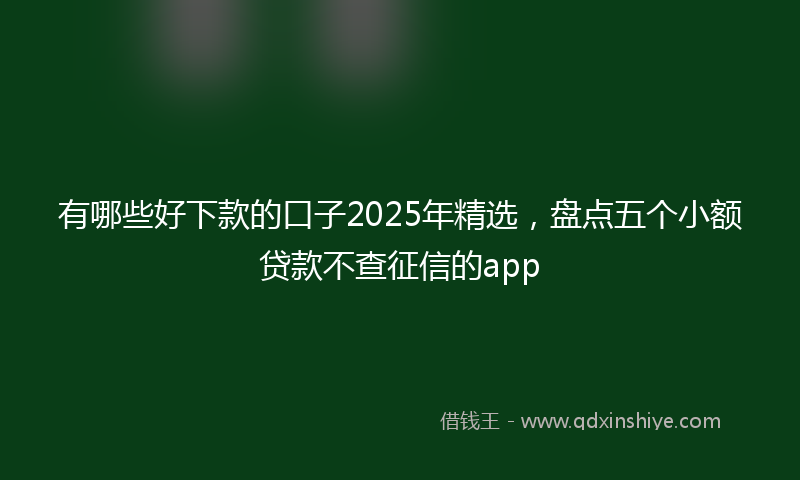 有哪些好下款的口子2025年精选，盘点五个小额贷款不查征信的app