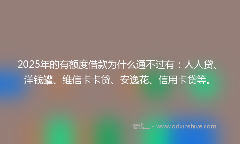 2025年的有额度借款为什么通不过有：人人贷、洋钱罐、维信卡卡贷、安逸花、信用卡贷等。
