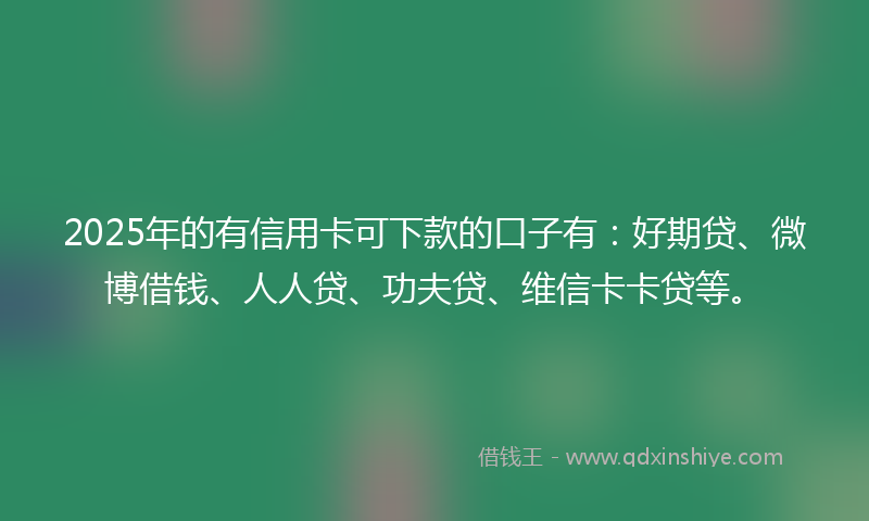 2025年的有信用卡可下款的口子有：好期贷、微博借钱、人人贷、功夫贷、维信卡卡贷等。
