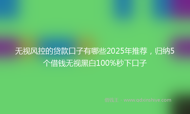 无视风控的贷款口子有哪些2025年推荐，归纳5个借钱无视黑白100%秒下口子