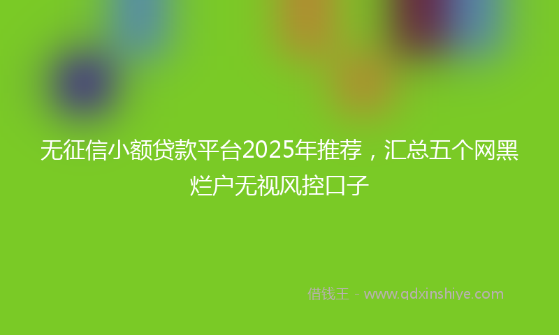 无征信小额贷款平台2025年推荐，汇总五个网黑烂户无视风控口子