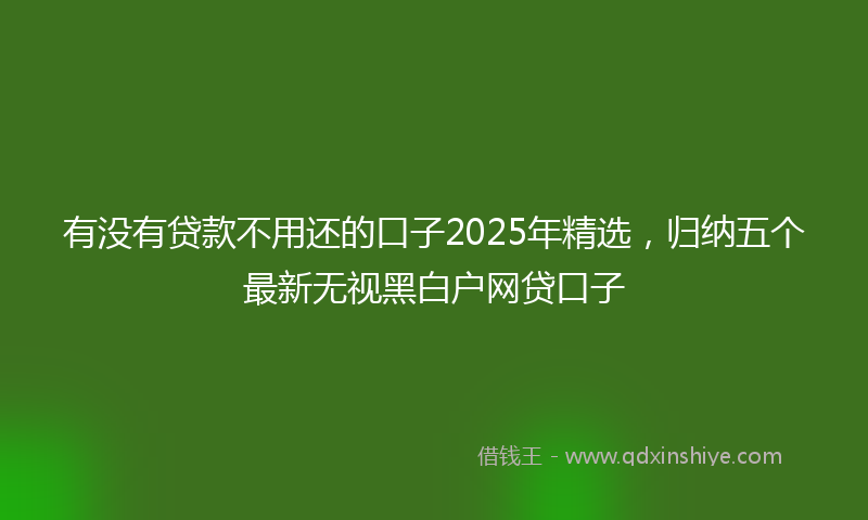 有没有贷款不用还的口子2025年精选，归纳五个最新无视黑白户网贷口子
