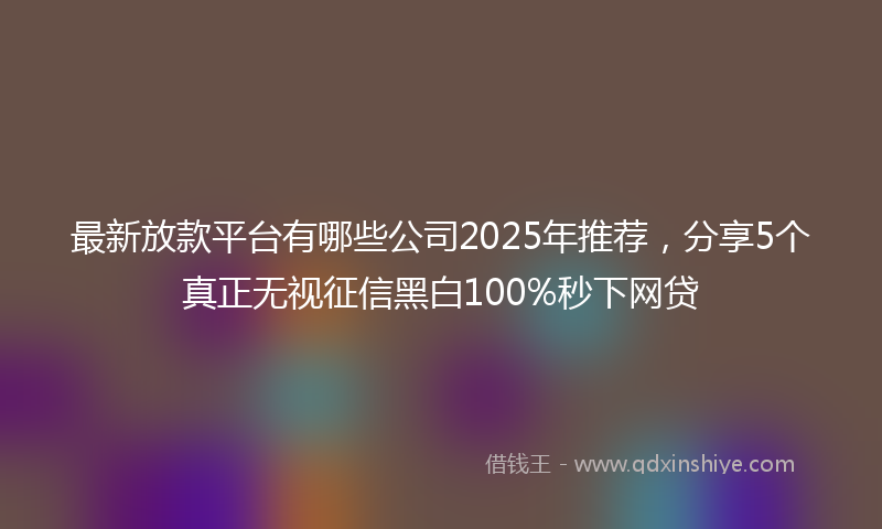 最新放款平台有哪些公司2025年推荐，分享5个真正无视征信黑白100%秒下网贷