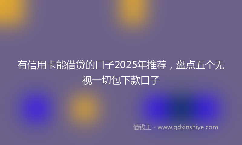 有信用卡能借贷的口子2025年推荐，盘点五个无视一切包下款口子