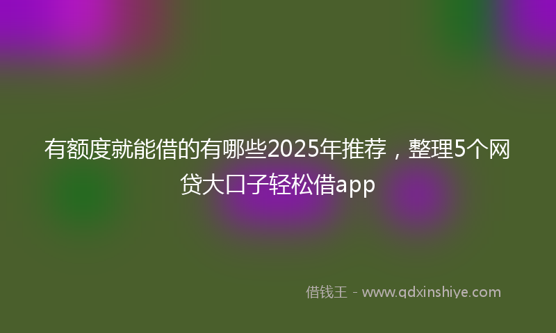 有额度就能借的有哪些2025年推荐，整理5个网贷大口子轻松借app