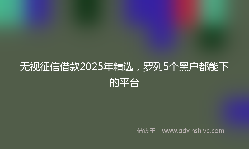 无视征信借款2025年精选，罗列5个黑户都能下的平台