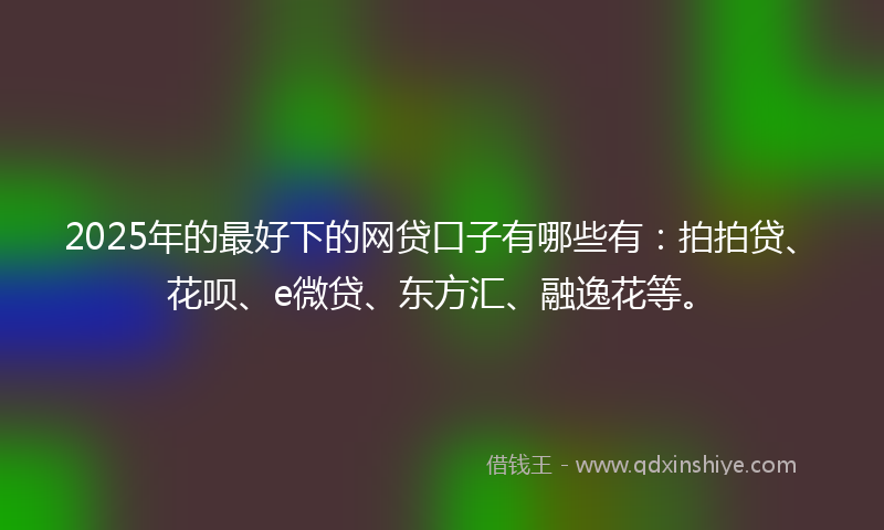 2025年的最好下的网贷口子有哪些有：拍拍贷、花呗、e微贷、东方汇、融逸花等。
