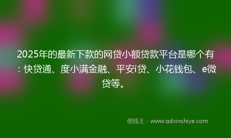 2025年的最新下款的网贷小额贷款平台是哪个有：快贷通、度小满金融、平安i贷、小花钱包、e微贷等。