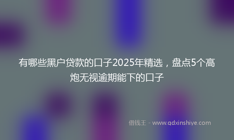 有哪些黑户贷款的口子2025年精选，盘点5个高炮无视逾期能下的口子