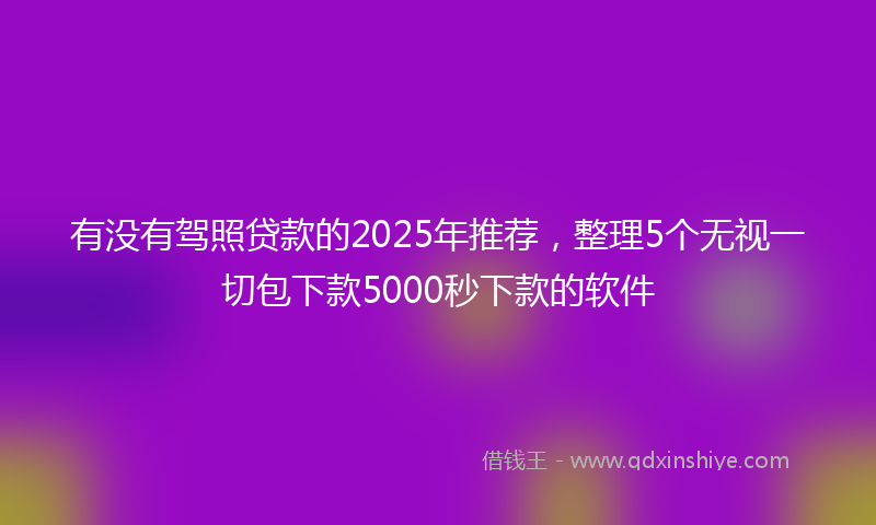 有没有驾照贷款的2025年推荐，整理5个无视一切包下款5000秒下款的软件