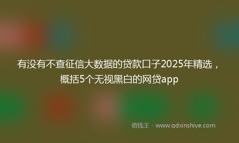 有没有不查征信大数据的贷款口子2025年精选，概括5个无视黑白的网贷app