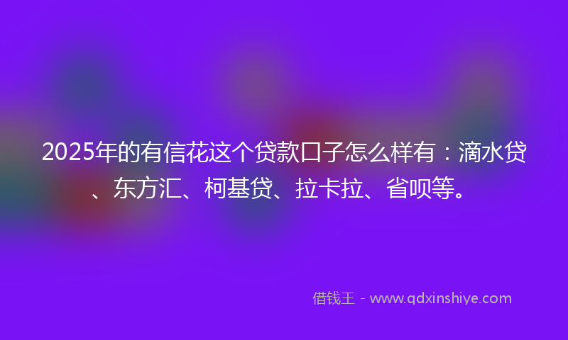 2025年的有信花这个贷款口子怎么样有：滴水贷、东方汇、柯基贷、拉卡拉、省呗等。