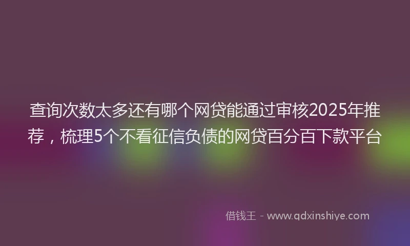 查询次数太多还有哪个网贷能通过审核2025年推荐，梳理5个不看征信负债的网贷百分百下款平台