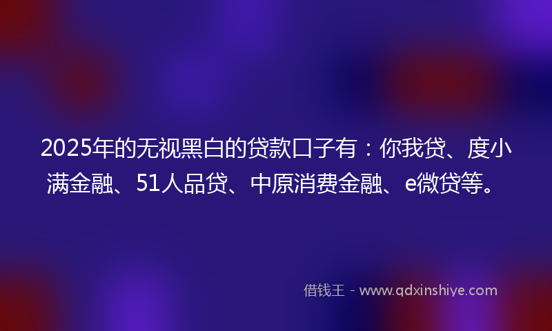 2025年的无视黑白的贷款口子有：你我贷、度小满金融、51人品贷、中原消费金融、e微贷等。