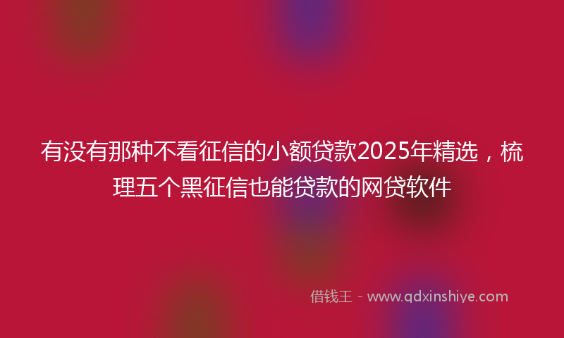 有没有那种不看征信的小额贷款2025年精选，梳理五个黑征信也能贷款的网贷软件