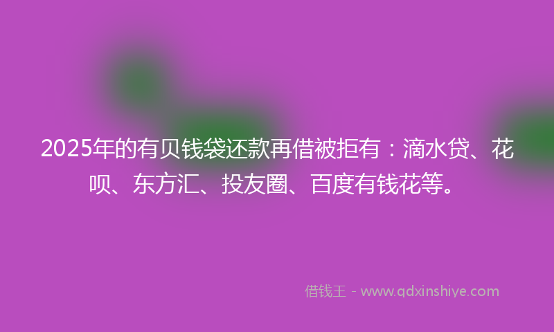 2025年的有贝钱袋还款再借被拒有：滴水贷、花呗、东方汇、投友圈、百度有钱花等。