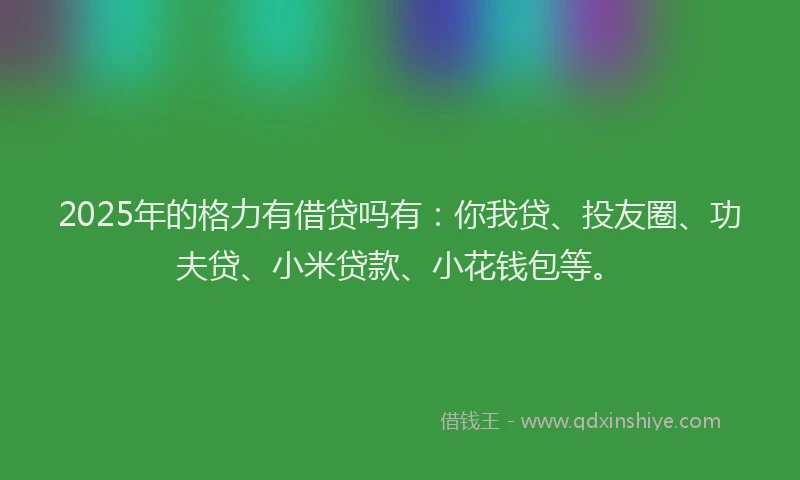 2025年的格力有借贷吗有：你我贷、投友圈、功夫贷、小米贷款、小花钱包等。