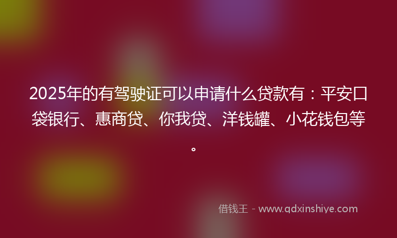 2025年的有驾驶证可以申请什么贷款有：平安口袋银行、惠商贷、你我贷、洋钱罐、小花钱包等。