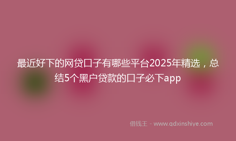 最近好下的网贷口子有哪些平台2025年精选，总结5个黑户贷款的口子必下app