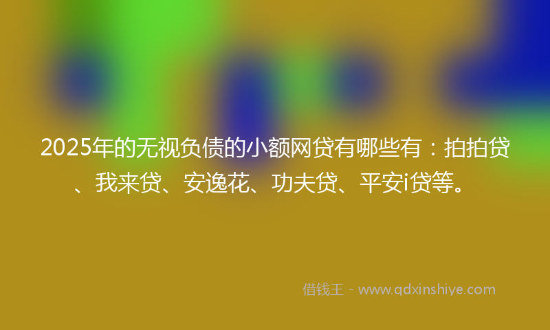2025年的无视负债的小额网贷有哪些有：拍拍贷、我来贷、安逸花、功夫贷、平安i贷等。