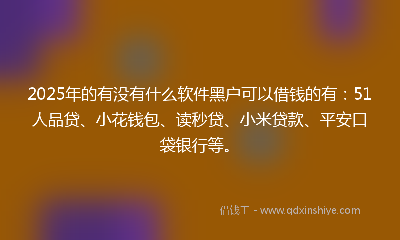 2025年的有没有什么软件黑户可以借钱的有：51人品贷、小花钱包、读秒贷、小米贷款、平安口袋银行等。
