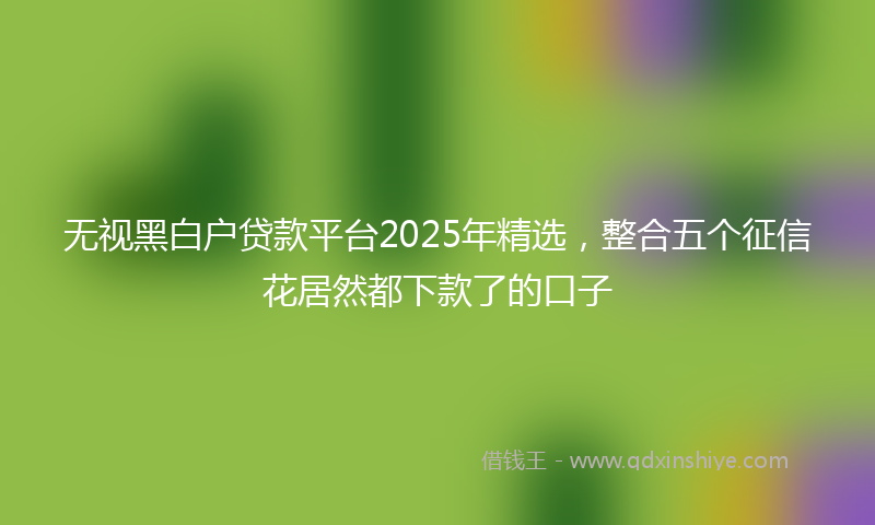 无视黑白户贷款平台2025年精选，整合五个征信花居然都下款了的口子