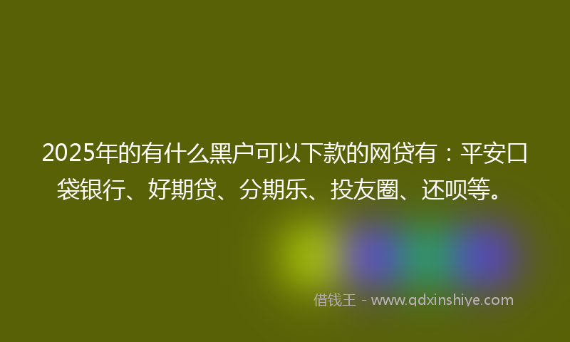2025年的有什么黑户可以下款的网贷有：平安口袋银行、好期贷、分期乐、投友圈、还呗等。
