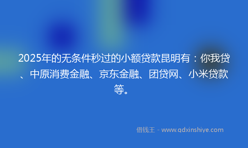 2025年的无条件秒过的小额贷款昆明有：你我贷、中原消费金融、京东金融、团贷网、小米贷款等。