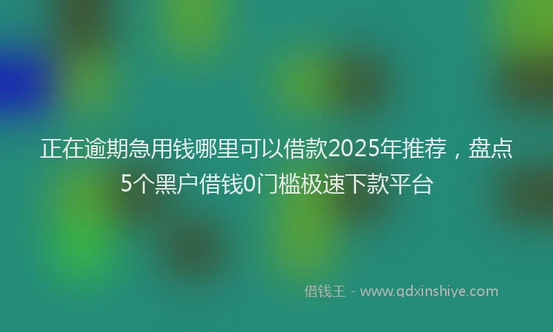 正在逾期急用钱哪里可以借款2025年推荐，盘点5个黑户借钱0门槛极速下款平台