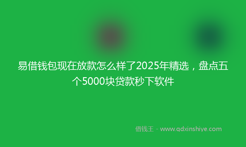 易借钱包现在放款怎么样了2025年精选，盘点五个5000块贷款秒下软件