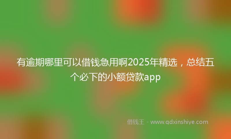 有逾期哪里可以借钱急用啊2025年精选，总结五个必下的小额贷款app