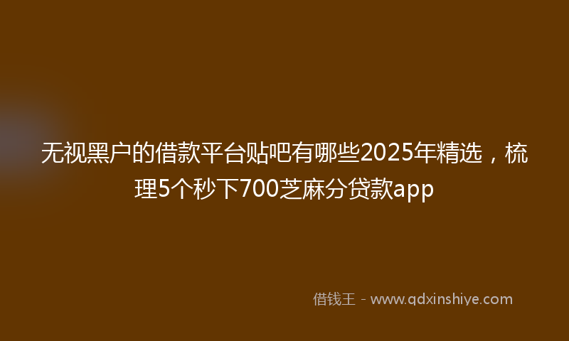 无视黑户的借款平台贴吧有哪些2025年精选，梳理5个秒下700芝麻分贷款app