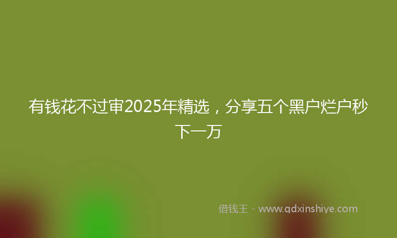 有钱花不过审2025年精选，分享五个黑户烂户秒下一万