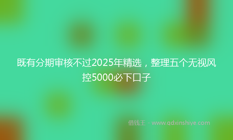 既有分期审核不过2025年精选，整理五个无视风控5000必下口子