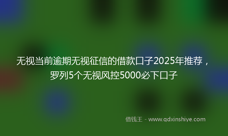 无视当前逾期无视征信的借款口子2025年推荐，罗列5个无视风控5000必下口子