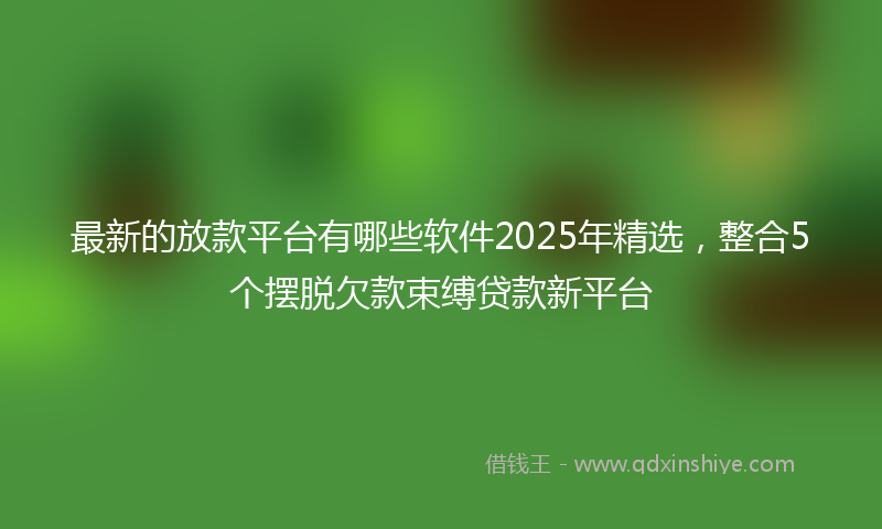 最新的放款平台有哪些软件2025年精选，整合5个摆脱欠款束缚贷款新平台