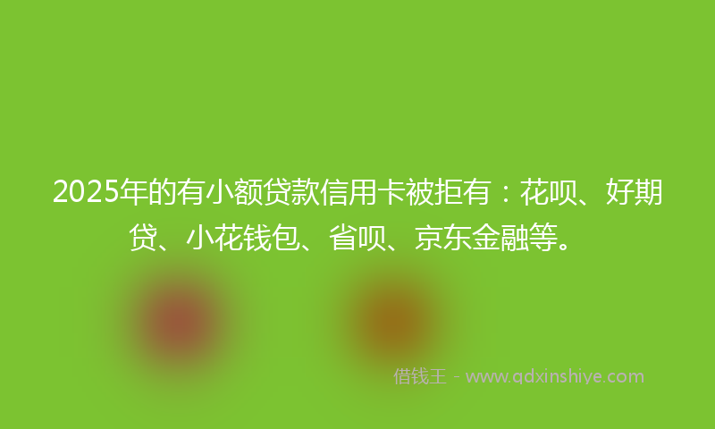 2025年的有小额贷款信用卡被拒有：花呗、好期贷、小花钱包、省呗、京东金融等。