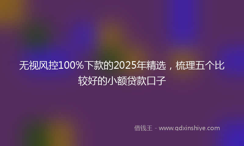 无视风控100%下款的2025年精选，梳理五个比较好的小额贷款口子