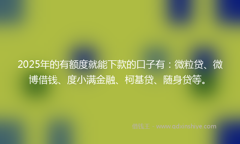 2025年的有额度就能下款的口子有：微粒贷、微博借钱、度小满金融、柯基贷、随身贷等。