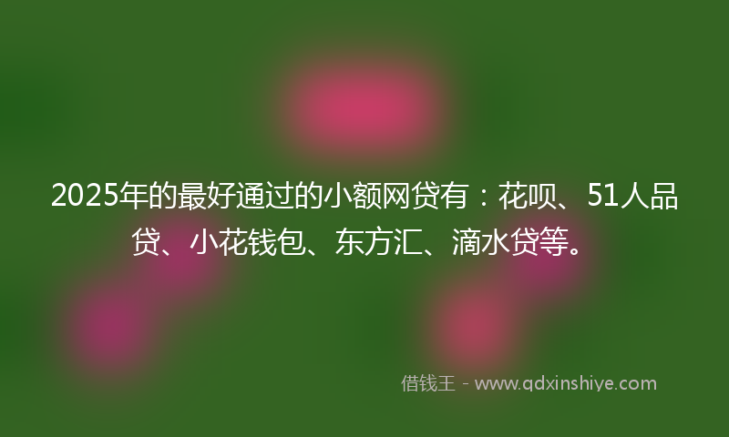 2025年的最好通过的小额网贷有：花呗、51人品贷、小花钱包、东方汇、滴水贷等。