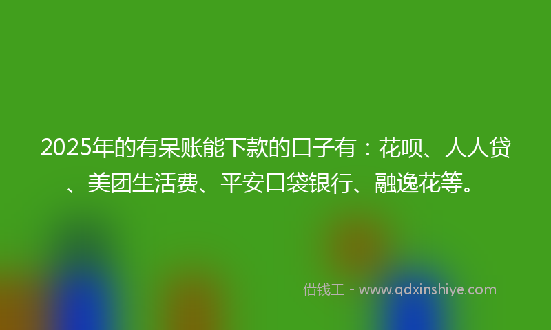 2025年的有呆账能下款的口子有：花呗、人人贷、美团生活费、平安口袋银行、融逸花等。