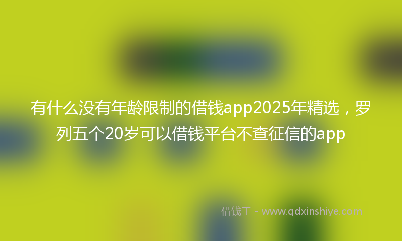 有什么没有年龄限制的借钱app2025年精选，罗列五个20岁可以借钱平台不查征信的app