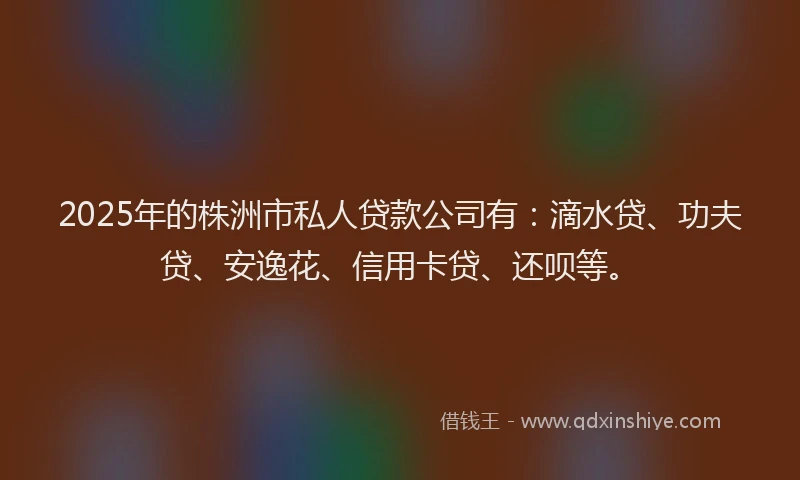 2025年的株洲市私人贷款公司有：滴水贷、功夫贷、安逸花、信用卡贷、还呗等。