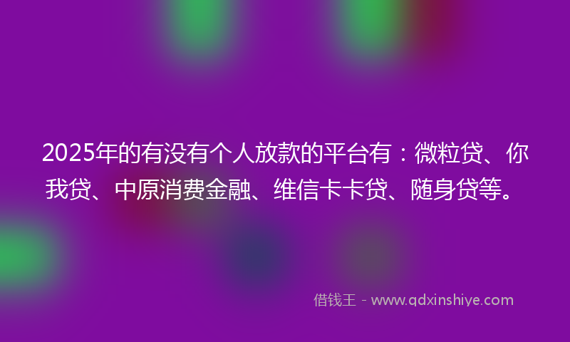 2025年的有没有个人放款的平台有：微粒贷、你我贷、中原消费金融、维信卡卡贷、随身贷等。