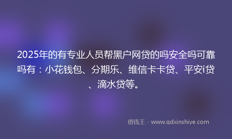 2025年的有专业人员帮黑户网贷的吗安全吗可靠吗有：小花钱包、分期乐、维信卡卡贷、平安i贷、滴水贷等。